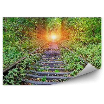 Fototapeta na stenu Lesné Koľaje Železničná Doprava Slnko Príroda