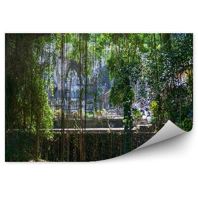 Fototapeta na stenu Chrám džungľa liany stromy