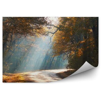 Fototapeta na stenu Jesenná lesná cesta listy