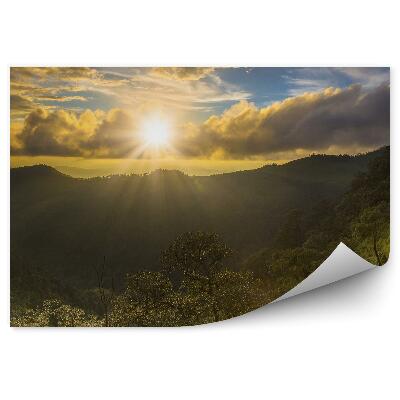 Fototapeta Západ slnka les trávy hory