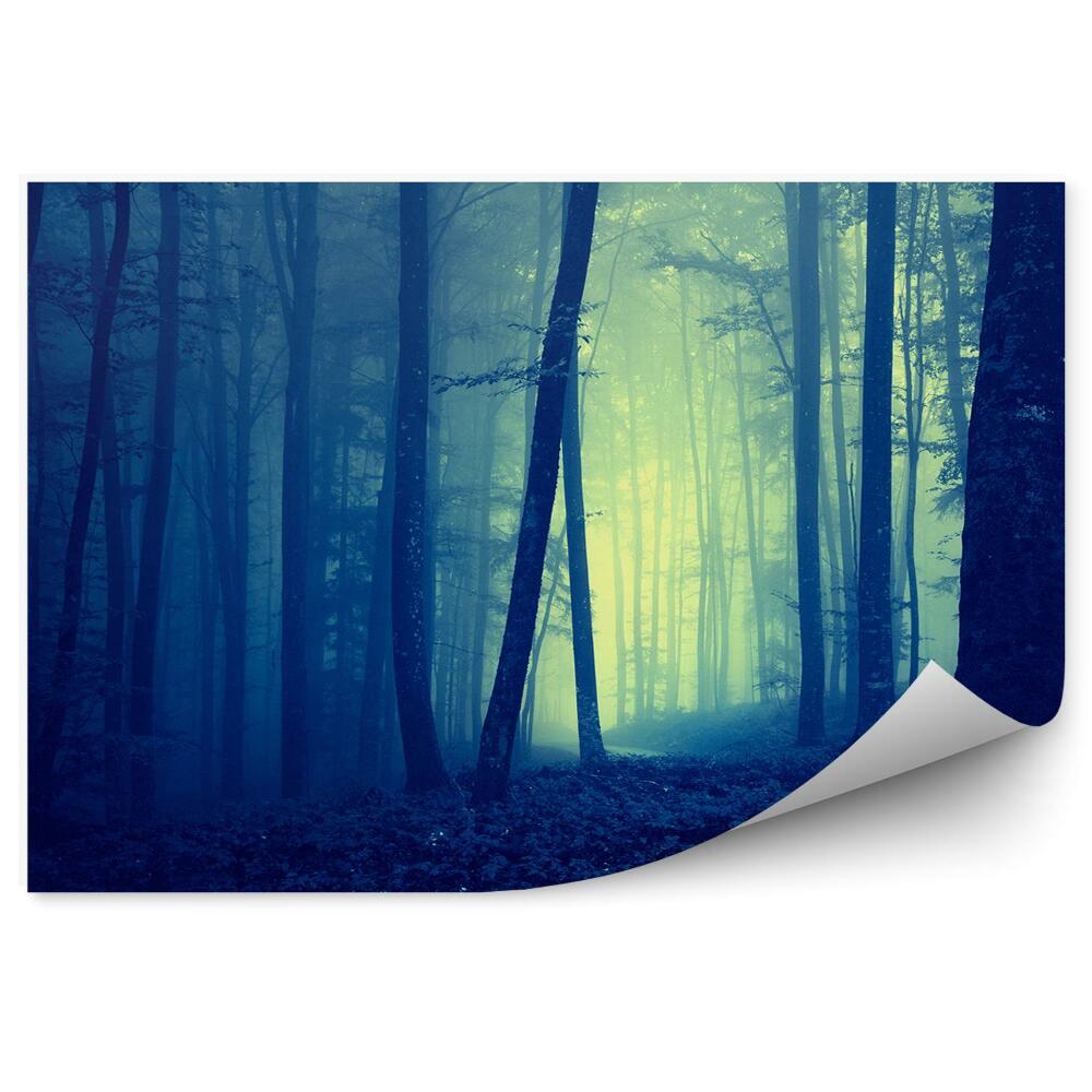 Fototapeta na stenu Tmavomodrá lesná hmla