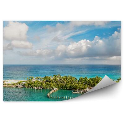 Fototapeta Krajina Bahama Palmy Pláž Oceán Obloha Mraky