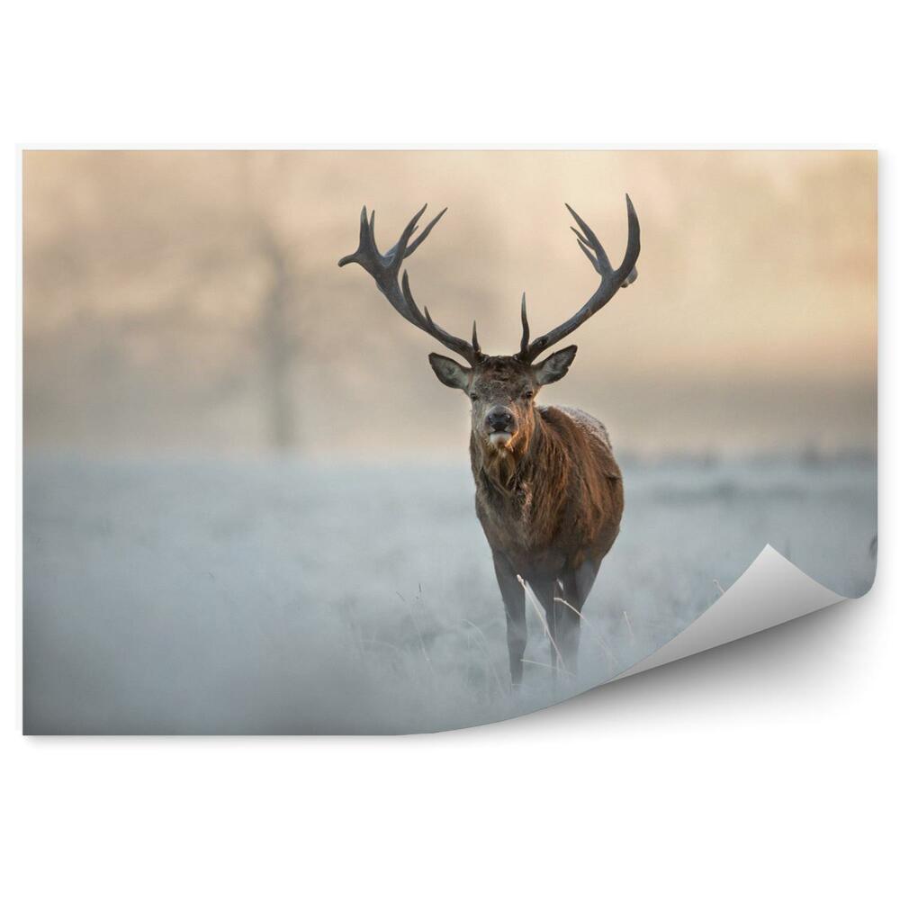 Fototapeta na stenu Jeleň v zimnej krajine