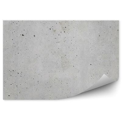 Fototapeta na stenu Sivý hladený betón