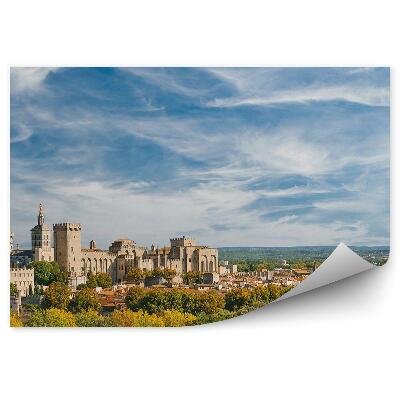 Fototapeta Panoráma starého mesta pápežský palác pohľad stromy rastliny obloha mraky