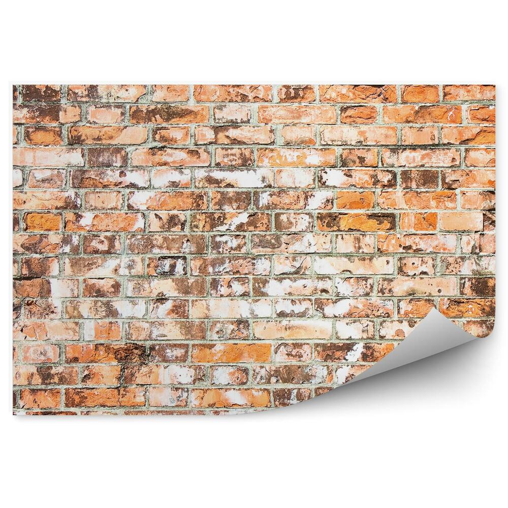 Fototapeta Starý múr v Toskánsku