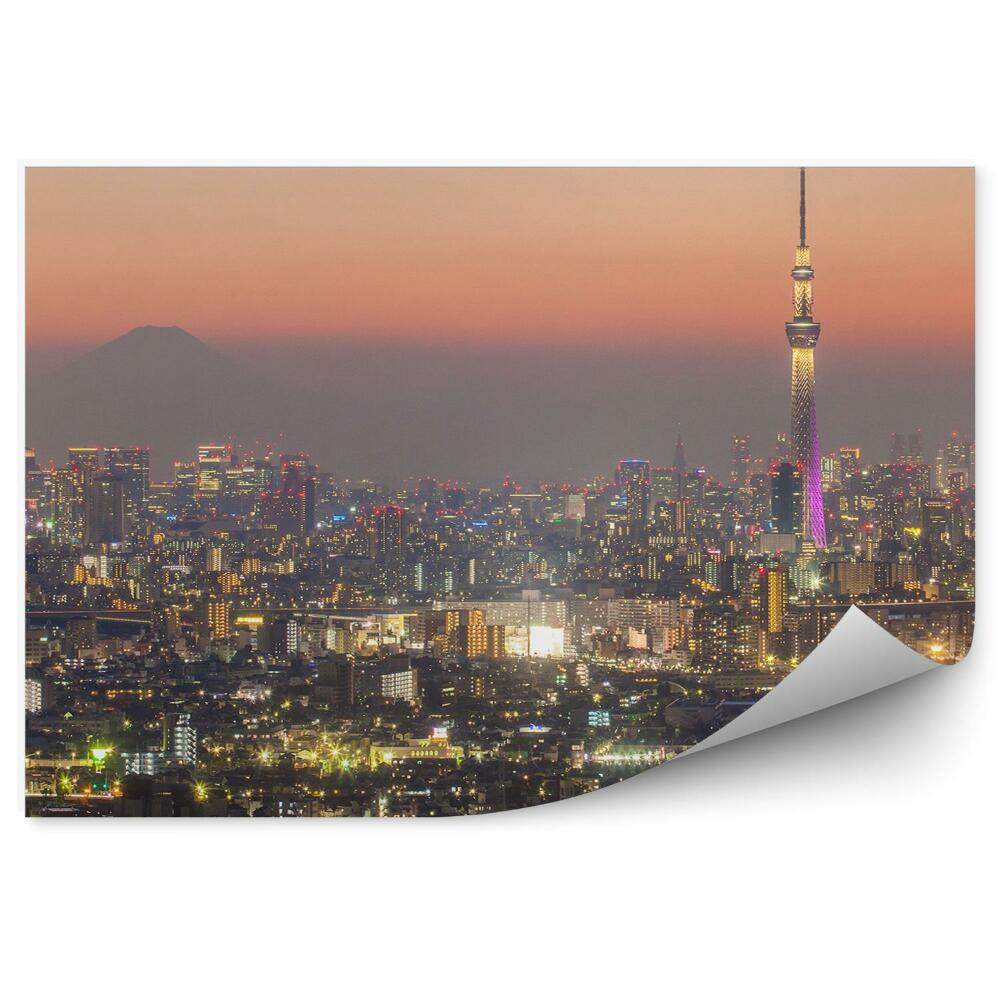 Fototapeta na stenu Pohľad z vtáčej perspektívy noc Tokio Japonsko svetlá
