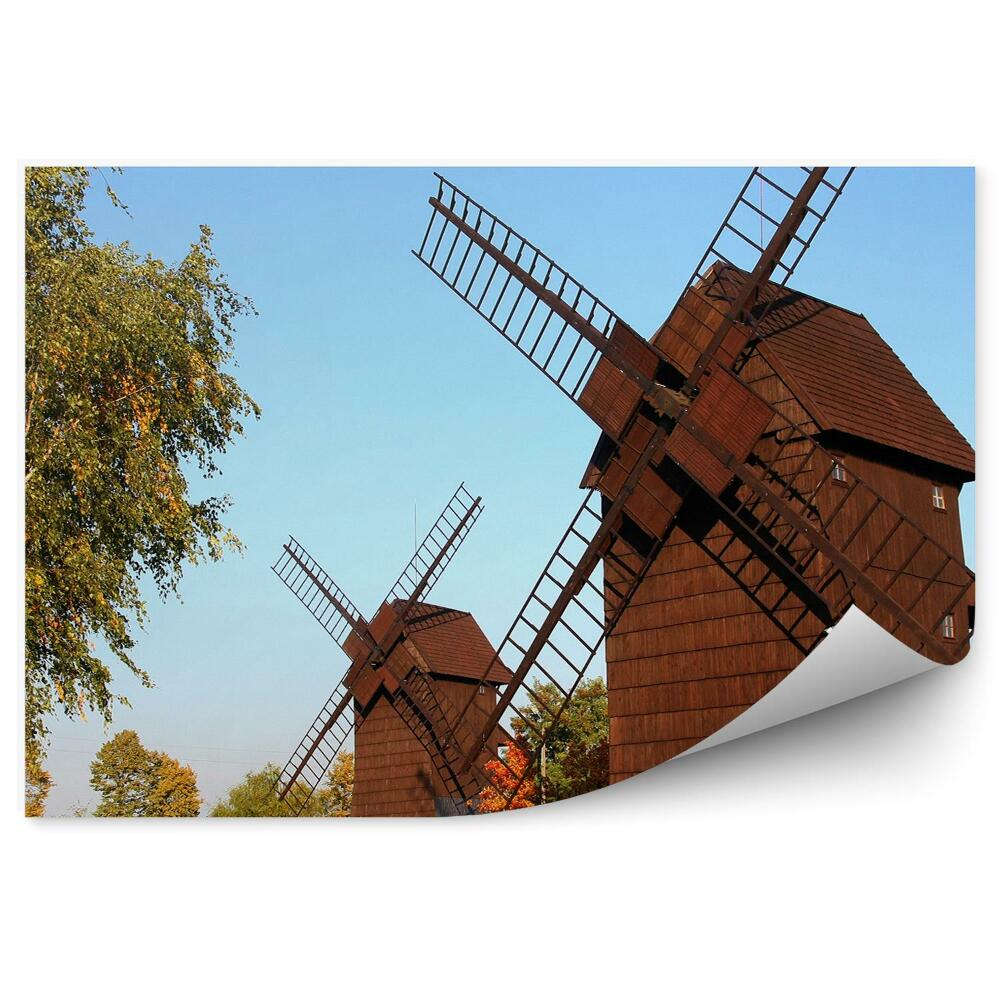 Fototapeta na stenu Stare lesene mline na veter naravni park