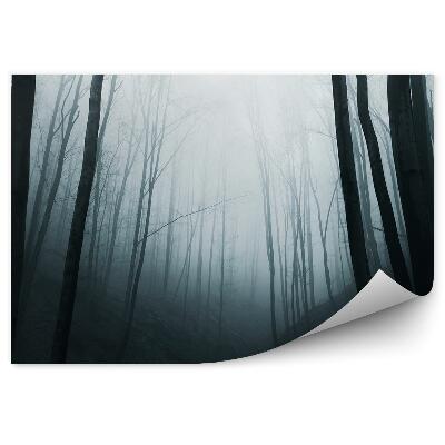 Fototapeta Tmavá lesná hmla