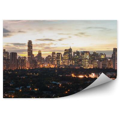 Fototapeta na stenu Pohľad Z Vtáčej Perspektívy Mesto Budovy Príroda Stromy