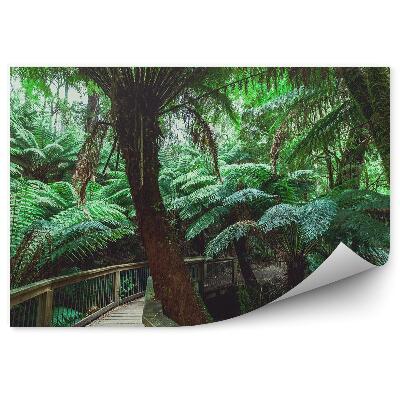 Fototapeta na stenu Drevená promenáda paprade kríky stromy