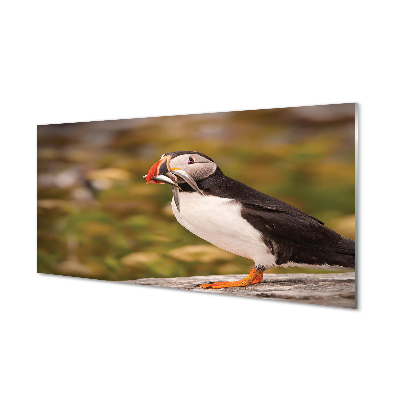 Sklenený obraz Papagáj s maskou