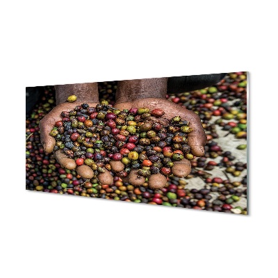 Obraz na skle Farebné fazule