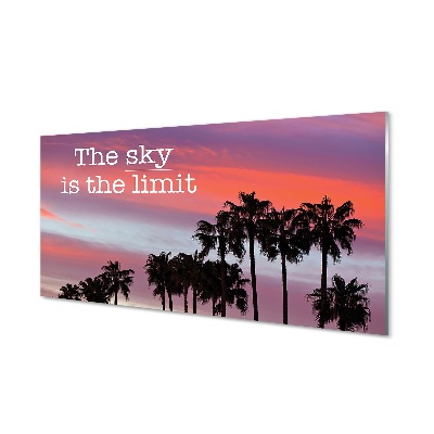 Obraz na skle Obloha je limit Palmy