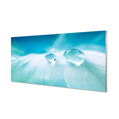 Obraz na skle Kvapky vody na pierku