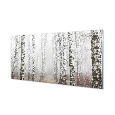Skleneny obraz Hmla v brezovom lese