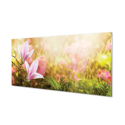 Obraz na skle Kvety na slnečnom