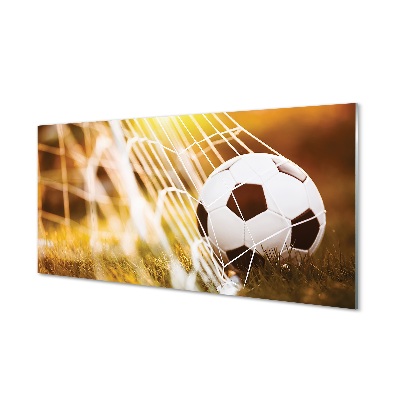 Skleneny obraz Lopta v bránke slnko