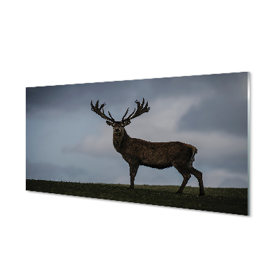 Sklenený obraz Jelenie parohy v hmle