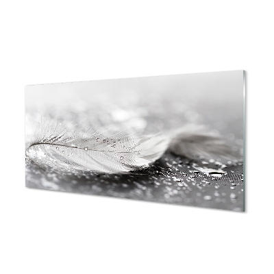 Skleneny obraz Biele perie kvapiek vody