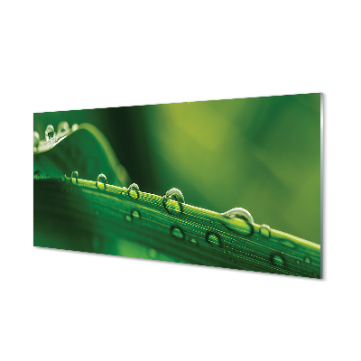 Obraz na skle Kvapky trávy zblízka