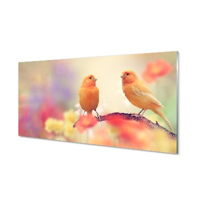 Sklenený obraz Dva papagáje na rozmazanom pozadí