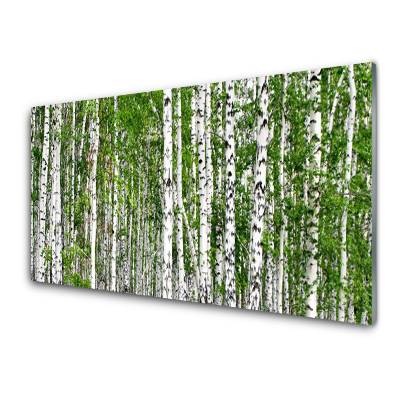 Skleneny obraz Breza Príroda