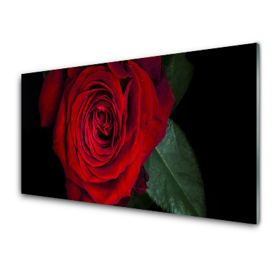 Obraz na skle Červená ruža