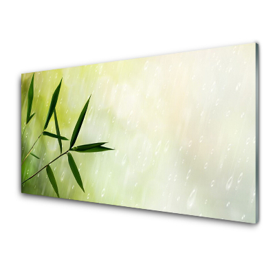 Sklenený obraz Listy Dážď