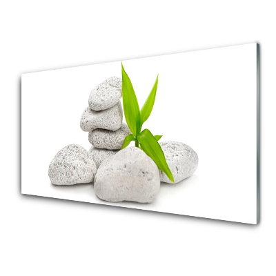 Skleneny obraz Kamene rastliny