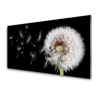 Obraz na skle Nafukovacie