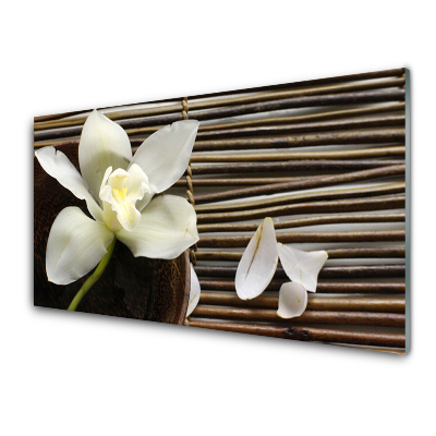 Obraz na skle Biele okvetné lístky