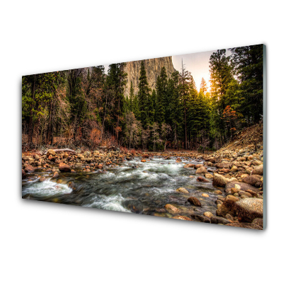 Sklenený obraz Les Jazero Potok Príroda