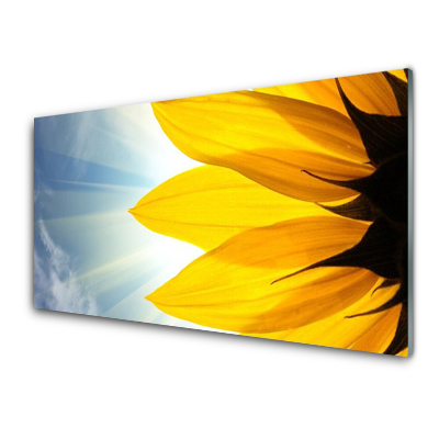 Obraz na skle Okvetné lístky rastlín