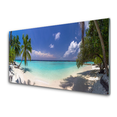 Obraz na skle Morská pláž Palmy