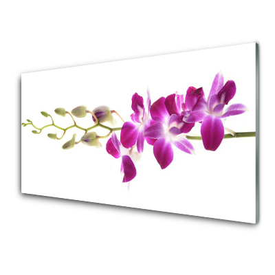 Obraz na skle Kvety na bielom pozadí
