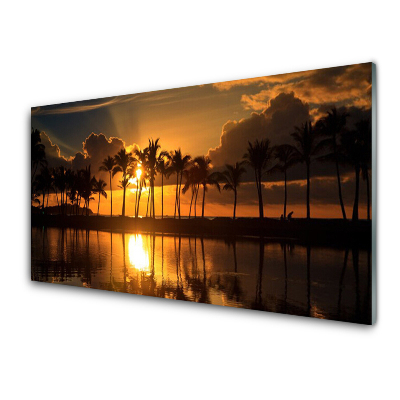 Sklenený obraz Palmy na pozadí západu slnka