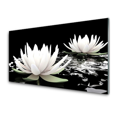 Sklenený obraz Dve lekná