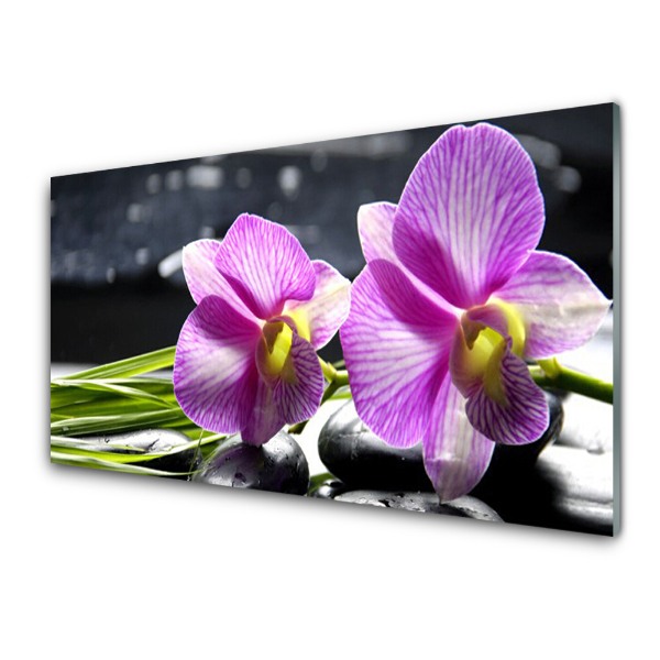 Obraz na skle Fialové kvety orchideí