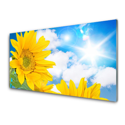 Sklenený obraz Záber zblízka na žlté kvety obloha