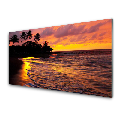 Obraz na skle Palmy na pobreží mora