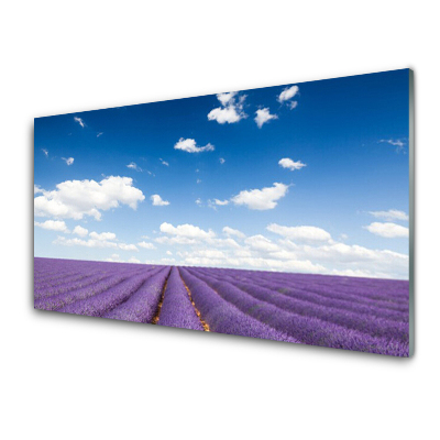 Sklenený obraz Levanduľové pole a obloha
