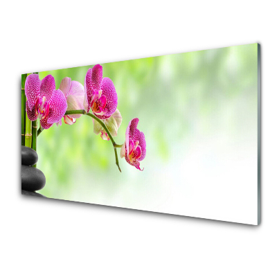 Sklenený obraz Orchidea Bambusové kamene