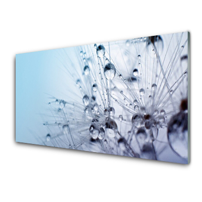 Sklenený obraz Púpavová ruža