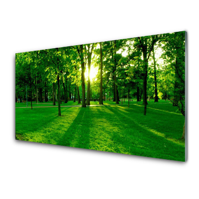 Obraz na skle Pohľad na zelený park