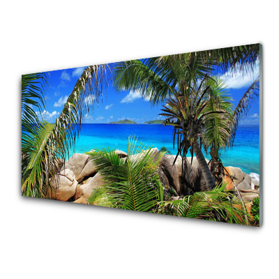 Obraz na skle Skaly pohľad na more