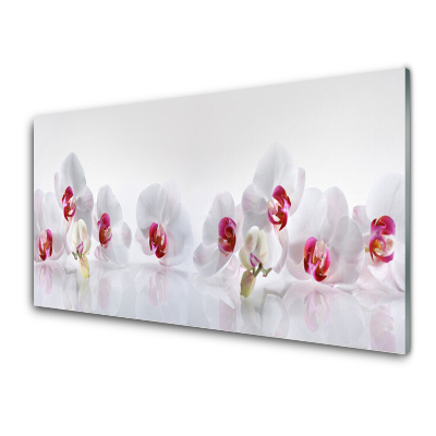 Sklenený obraz Biele orchidey