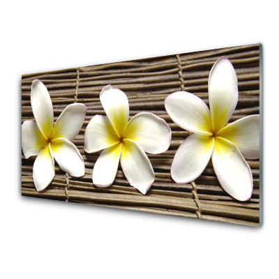 Sklenený obraz Kvety Prírodná rastlina