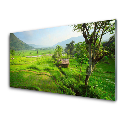 Skleneny obraz Pole s vidieckym domčekom