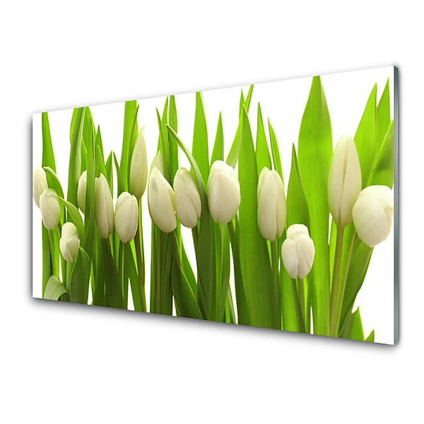 Sklenený obraz Kytica bielych tulipánov